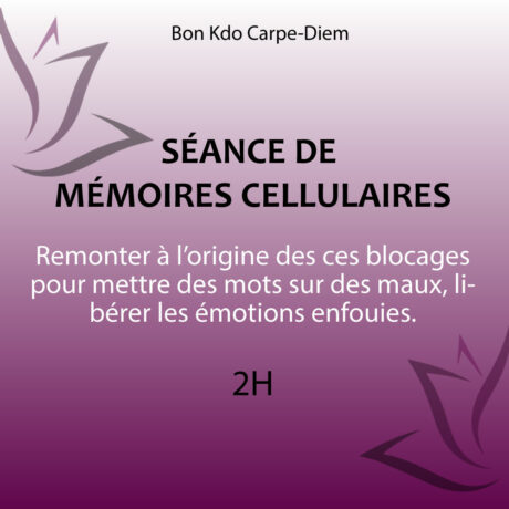 bons-kdo-memoire-cellulaire